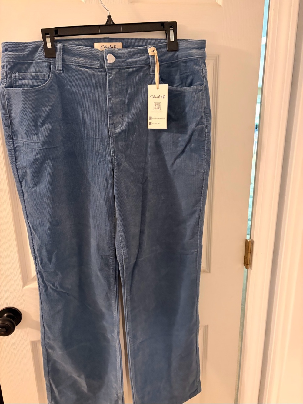 CHARLIE B Men's Light Blue Straight Corduroy Jeans